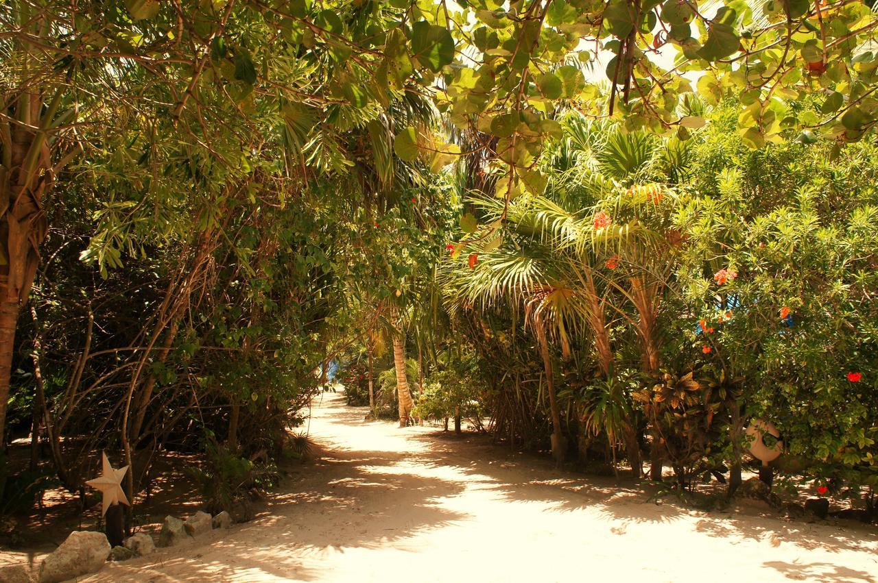 Cabanas La Luna Hotel Tulum Ngoại thất bức ảnh