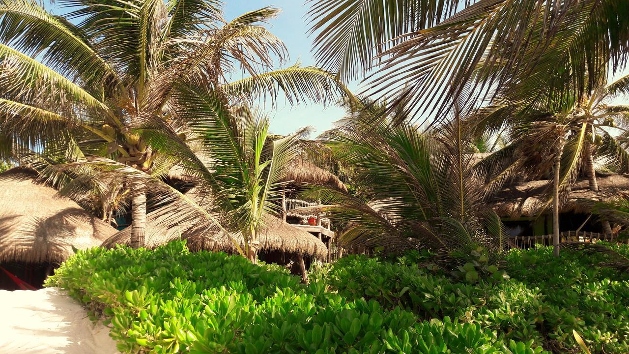 Cabanas La Luna Hotel Tulum Ngoại thất bức ảnh