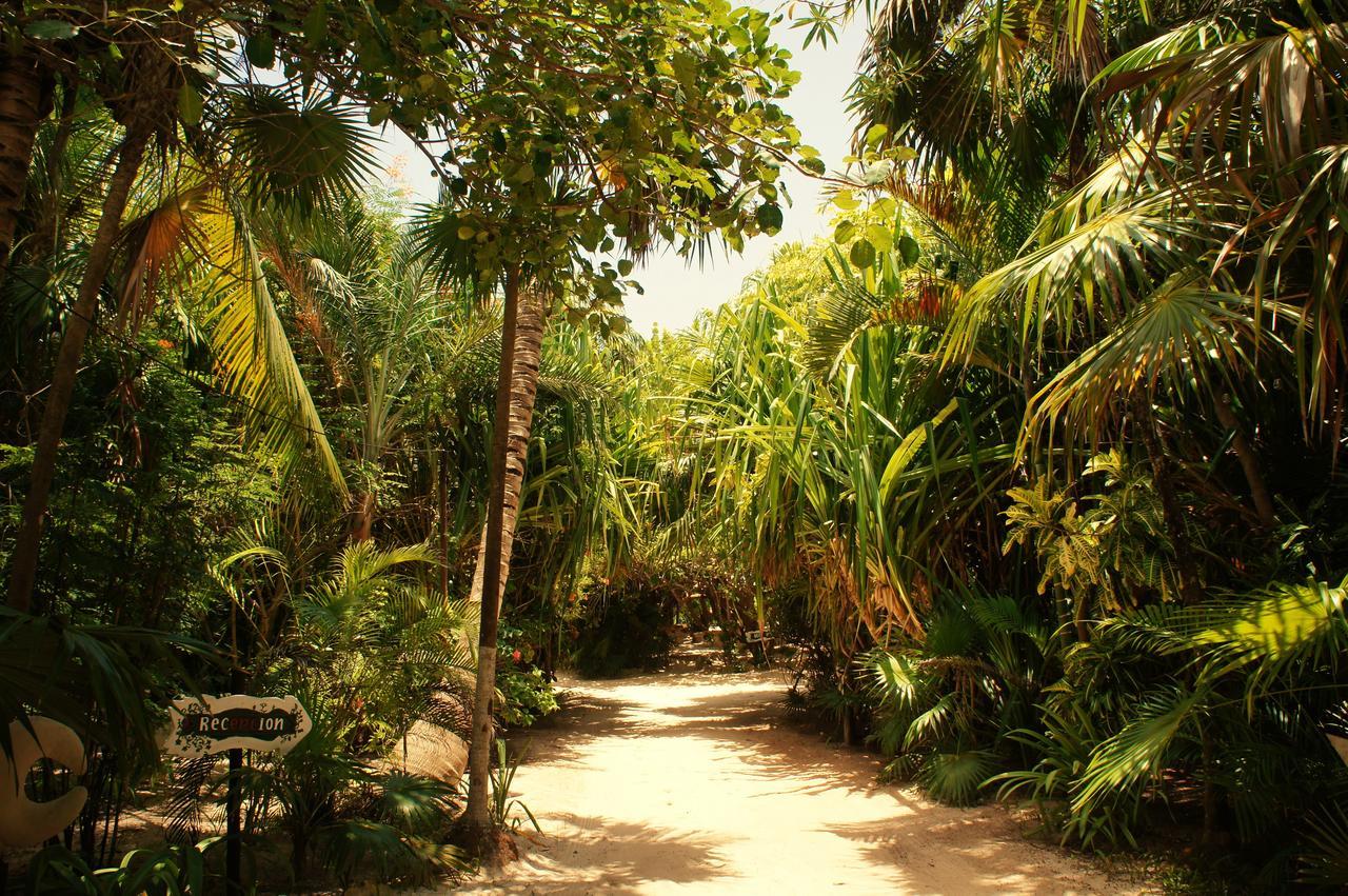 Cabanas La Luna Hotel Tulum Ngoại thất bức ảnh