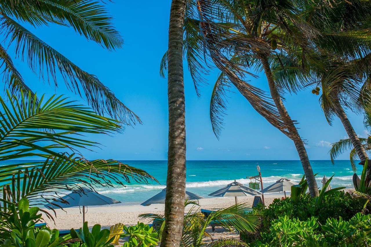 Cabanas La Luna Hotel Tulum Ngoại thất bức ảnh