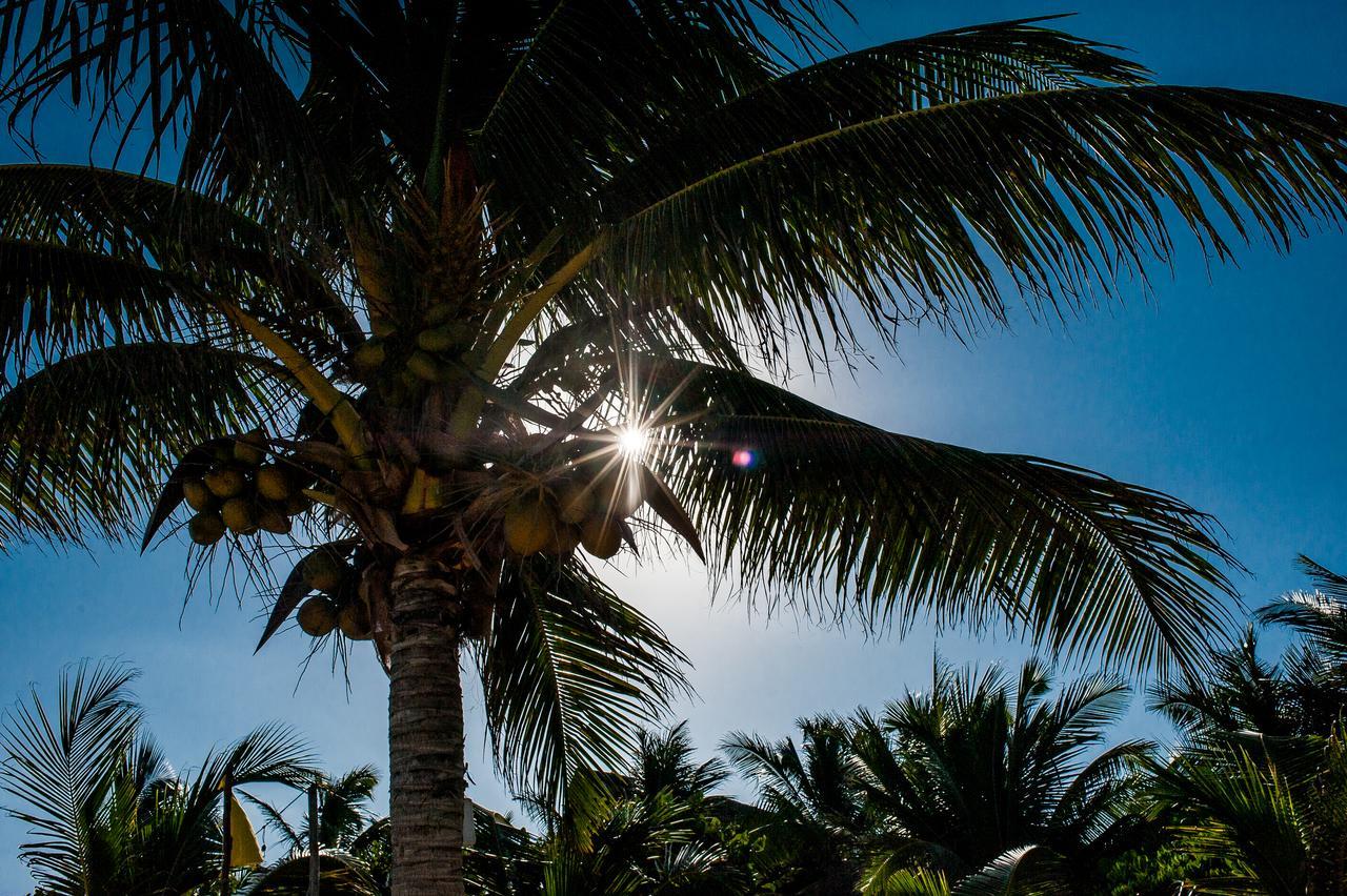 Cabanas La Luna Hotel Tulum Ngoại thất bức ảnh